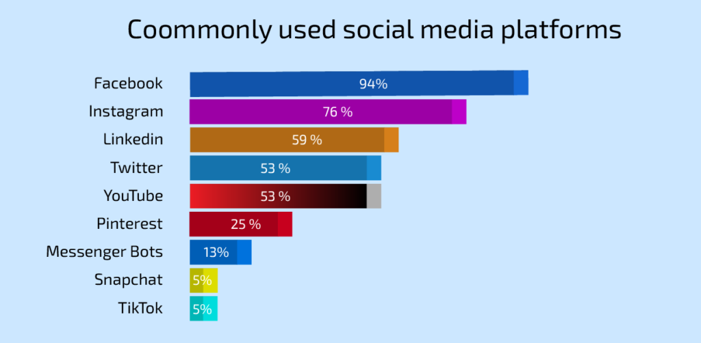 The bar chart that shows the top social media platforms.
