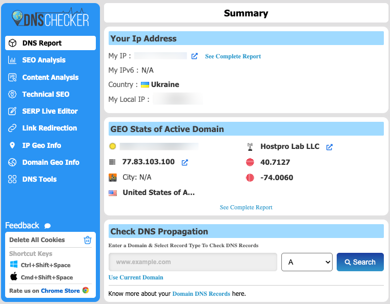 DNS check results in the DNS Checker - SEO and Domain Analysis plugin
